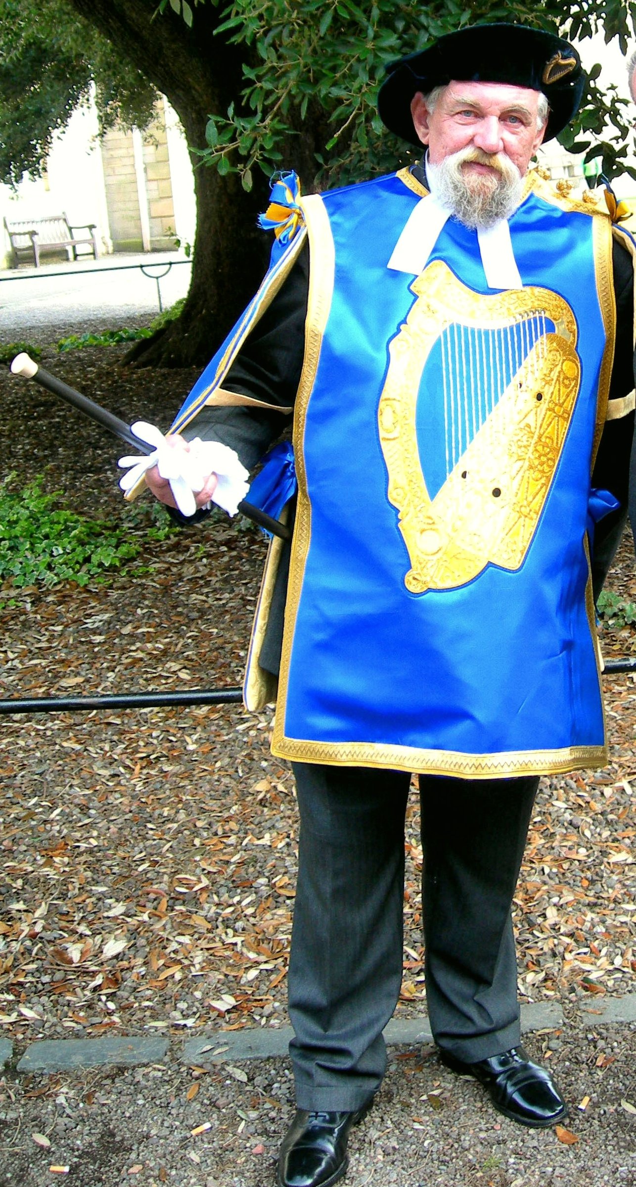 Micheál Ó Comáin, Herald of Arms at the Office of the Chief Herald of Ireland